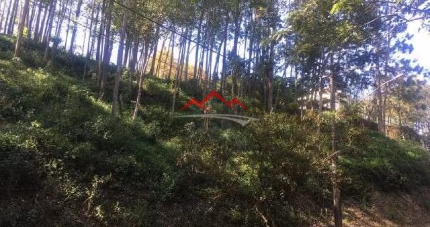 Terreno à venda na Rua Ametista, Serra dos Lagos (Jordanésia), Cajamar