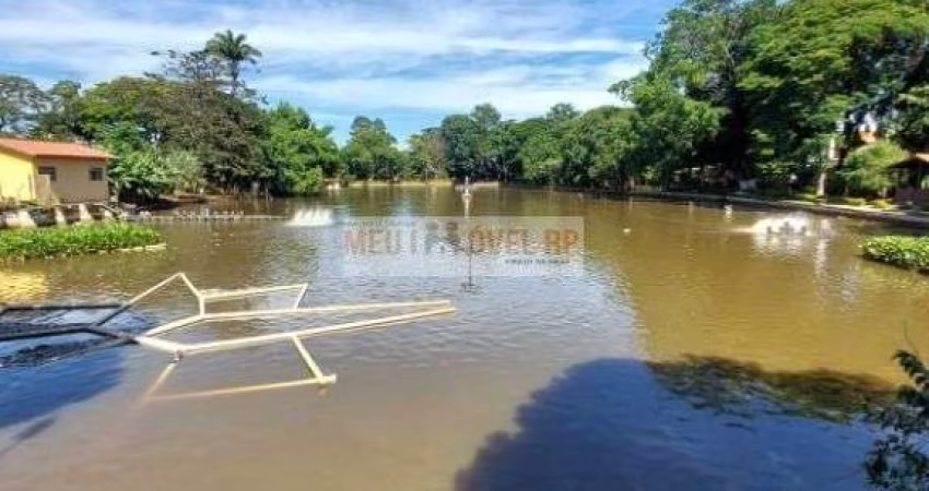 Casa com 4 dormitórios à venda, 290 m² por R$ 299.990,00 - Independência - Ribeirão Preto/SP