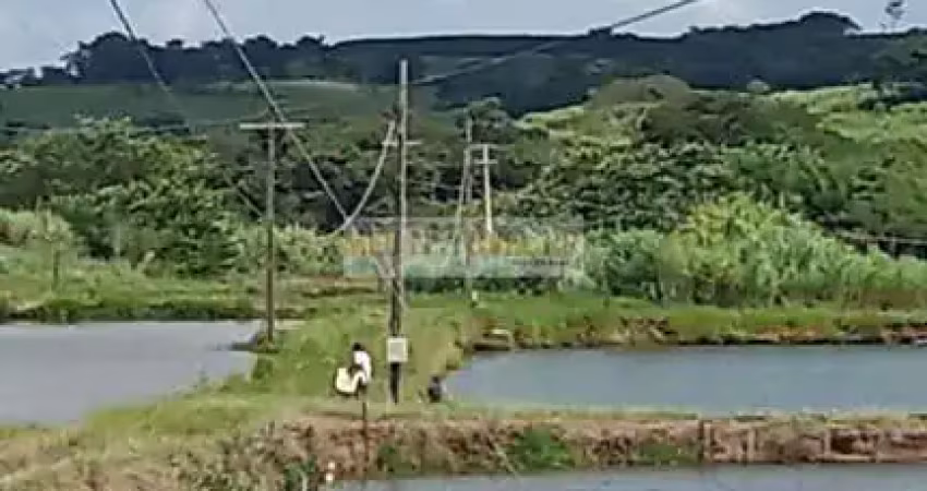 Fazenda à venda no Centro, Guaranésia 