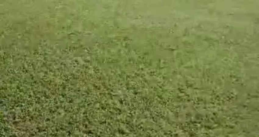 Smpw 11 -  terreno plano com 20.000m2, casa de apoio e piscina !