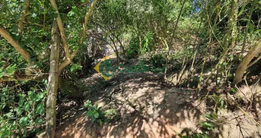 Terreno à venda na Rua Armando Constantino, 000, Vila Mathias, Mogi das Cruzes