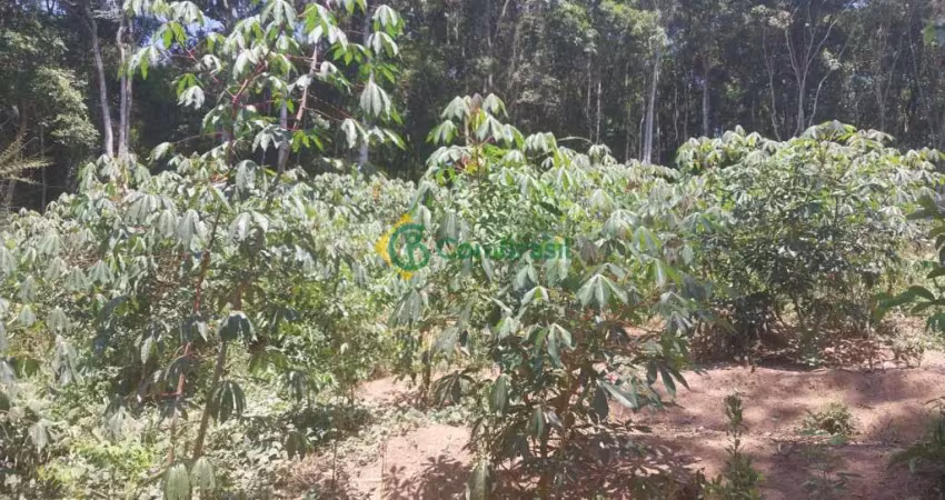 Terreno à venda na Rua Domingos Pazini, 01, Estância Angelina, Suzano