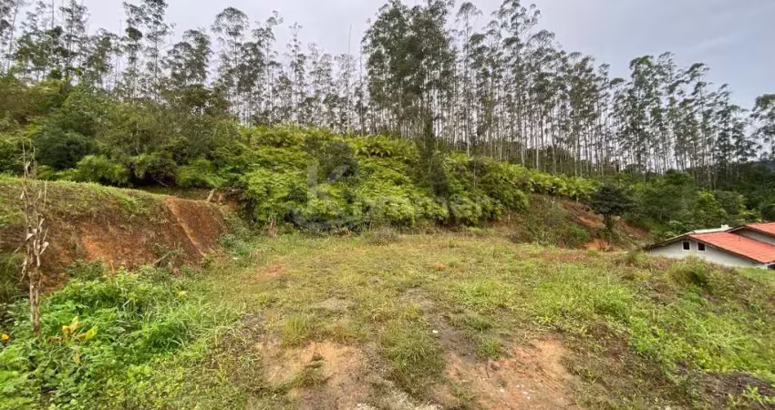 Terreno em condomínio fechado à venda na Rua André Leonardo Schmitz, Vila do Salto, Luiz Alves