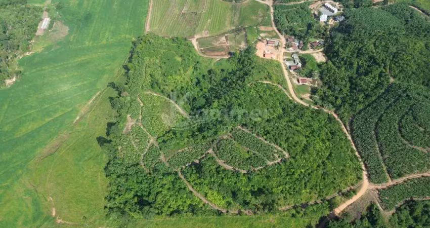 Terreno rural a venda em luiz alves com 129.675m2, quase 13 hectares de área total, praticamente 100% aproveitável para plantio.