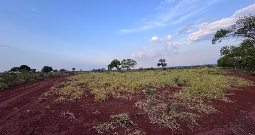 Fazenda 158 hectares - 130ha Formados - Aptidão para Plantio
