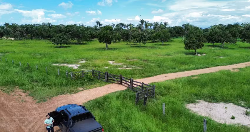 Fazenda com 1 sala à venda na Fazenda 185 hectares - 45km de Cuiabá MT, Zona Rural, Santo Antônio do Leverger