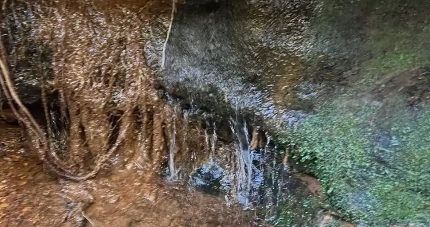 Terreno à venda na VENDO TERRENO 4.500m² EM CHAPADA DOS GUIMARÃES, Centro, Chapada dos Guimarães