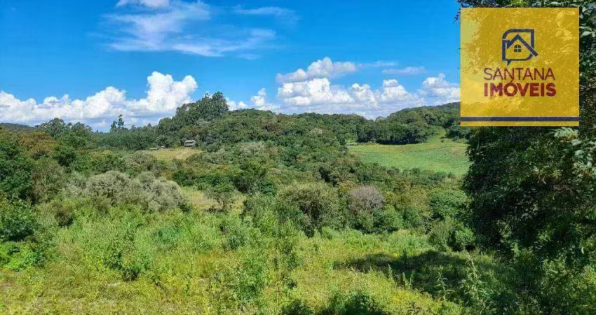 Chácara à venda, 20000 m² por r$ 445.000,00 - bateias - campo largo/pr