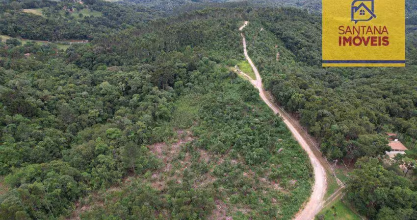 Chácara à venda, 20000 m² por r$ 310.000,00 - itaqui de cima - campo largo/pr