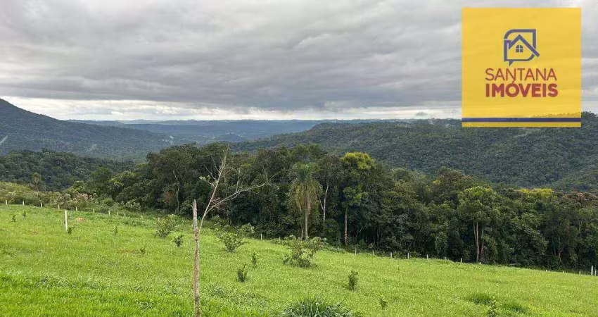 Chácara com 1 dormitório à venda, 20000 m² por r$ 590.000,00 - são caetano - balsa nova/pr