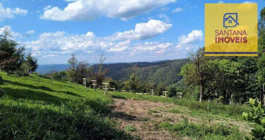 Chácara à venda, 20000 m² por r$ 450.000,00 - são caetano - campo largo/pr