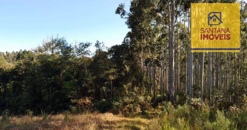 Área à venda, 243888 m² por r$ 700.000,00 - três córregos - campo largo/pr