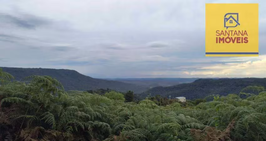 Chácara à venda, 48000 m² por r$ 390.000,00 - zona rural - campo largo/pr