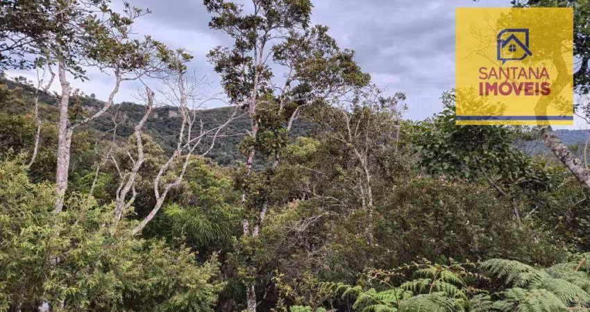Chácara à venda, 20000 m² por r$ 350.000,00 - zona rural - campo largo/pr