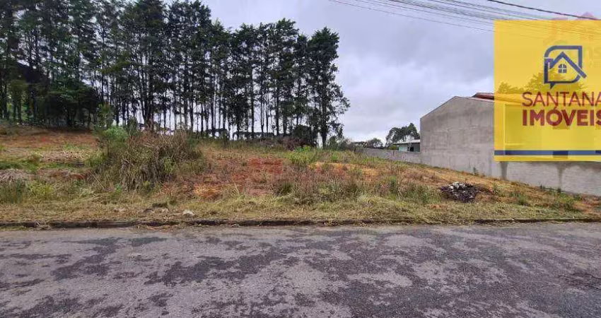 Terreno à venda, 420 m² por r$ 280.000,00 - jardim são vicente - campo largo/pr