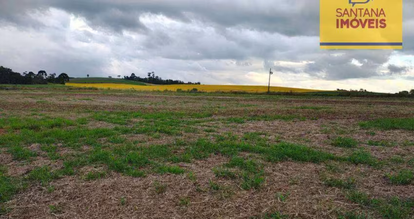 Terreno à venda, 36905 m² por r$ 1.150.000,00 - são caetano - balsa nova/pr