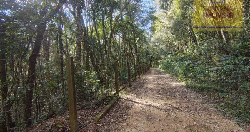 Terreno à venda, 240000 m² por r$ 2.800.000,00 - itaqui de cima - campo largo/pr