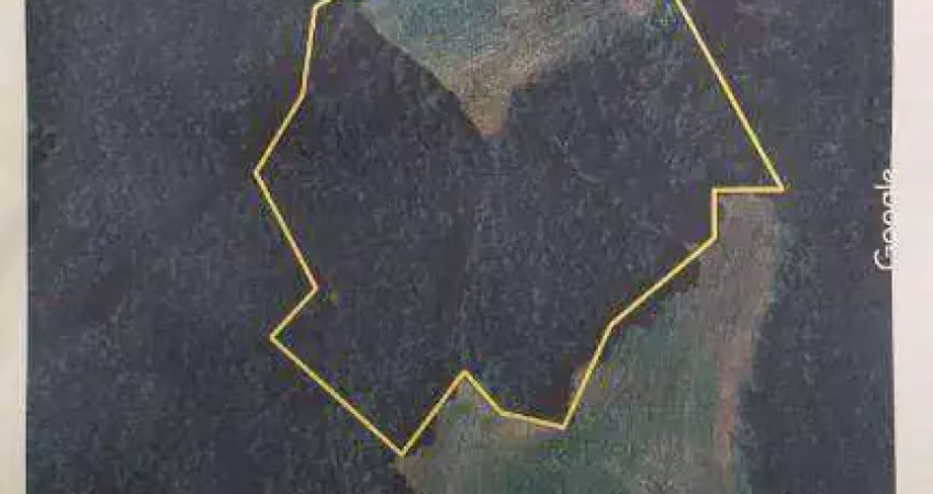 Área à venda, 48000 m² por r$ 900.000,00 - são caetano - balsa nova/pr