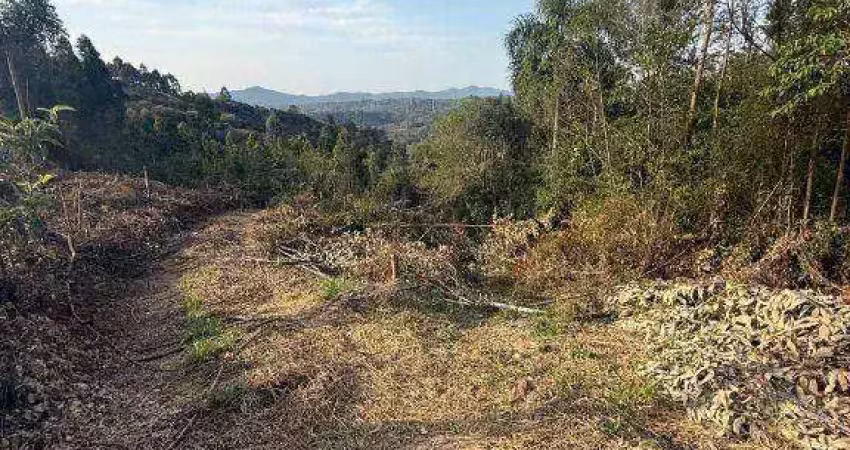 Área à venda, 20000 m² por r$ 260.000,00 - itaqui de cima - campo largo/pr