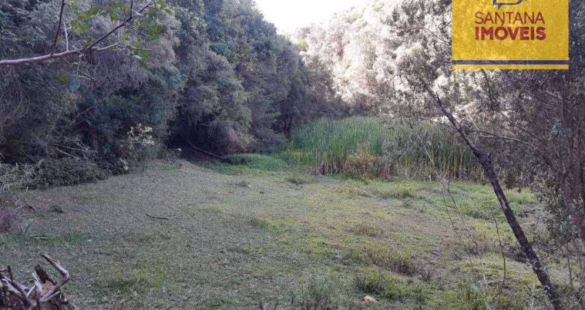 Chácara à venda, 20000 m² por r$ 790.000,00 - jardim florestal - campo largo/pr