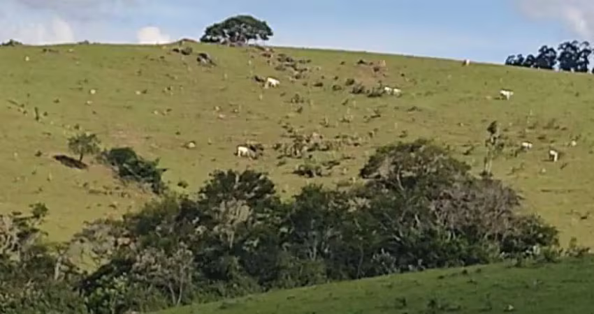 Chácara / sítio com 3 quartos à venda na Zona Rural, Pilar do Sul 