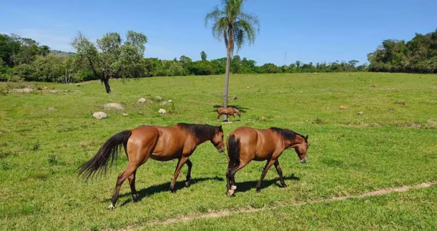 Chácara / sítio com 3 quartos à venda no Ribeirãozinho, Alambari 