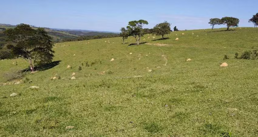 Fazenda à venda no Leite, Piedade 