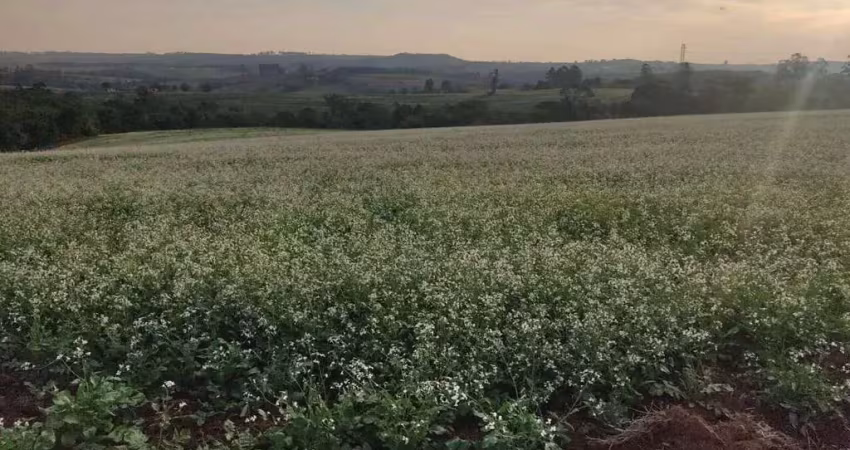 Fazenda à venda no Morro do Alto, Itapetininga 