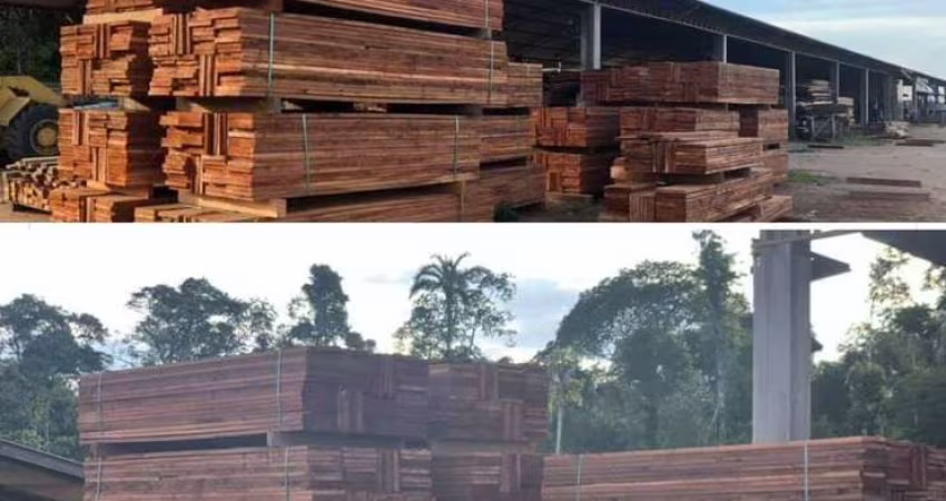 FAZENDA COM 101 mil HECTARES NO ESTADO DE MATO GROSSO