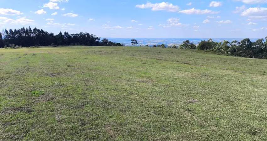 Sitio produção grama Angatuba