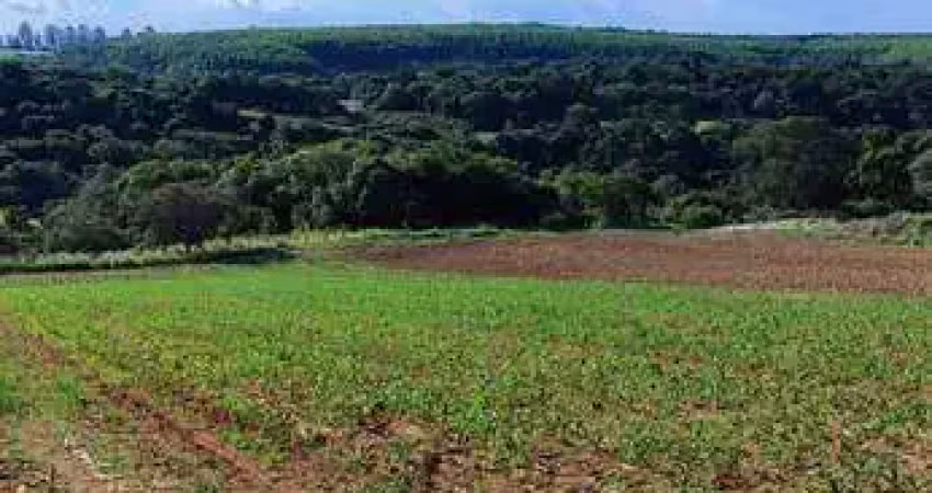 Chácara / sítio com 4 quartos à venda na Zona Rural, Piedade 