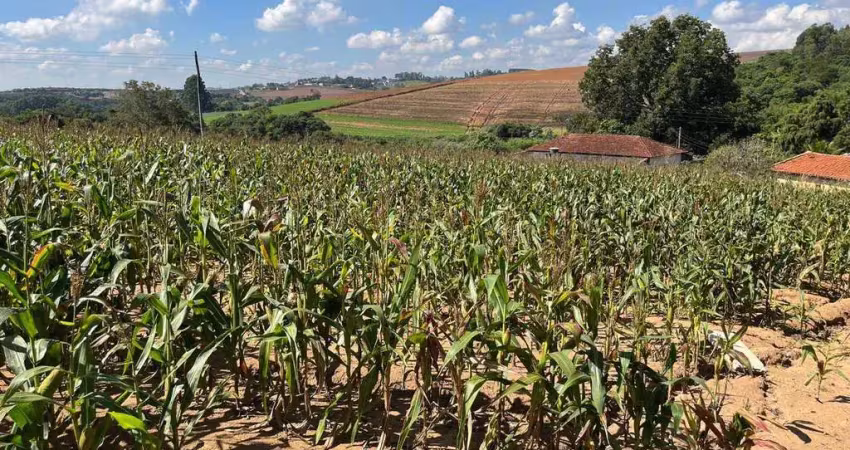 Chácara / sítio com 1 quarto à venda na Vila Moraes, Piedade 