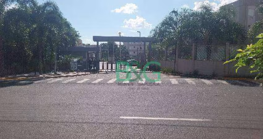 Apartamento com 2 dormitórios à venda, 43 m² por R$ 113.224 - Jardim Diva Tarlá de Carvalho - Ribeirão Preto/SP