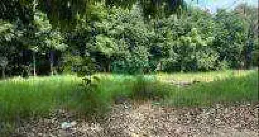Terreno à venda, 212 m² por r$ 176.467,42 - residencial água branca - boituva/sp