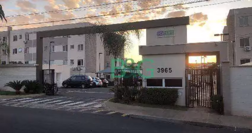 Apartamento com 2 dormitórios à venda, 40 m² por r$ 164.774,43 - jardim botura - votuporanga/sp