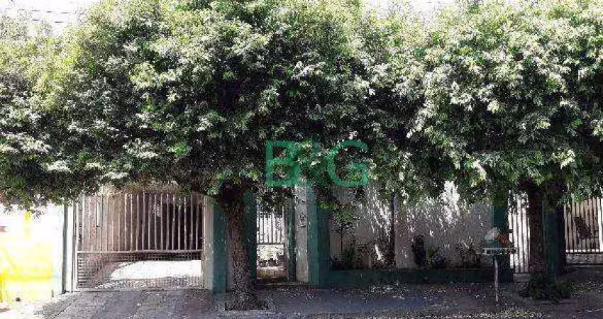 Casa à venda, 233 m² por r$ 879.685,16 - parque vila nova - fernandópolis/sp