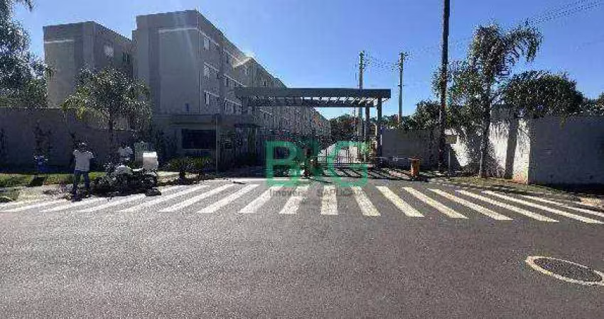 Apartamento com 2 dormitórios à venda, 43 m² por r$ 143.247 - jardim das palmeiras - ribeirão preto/sp