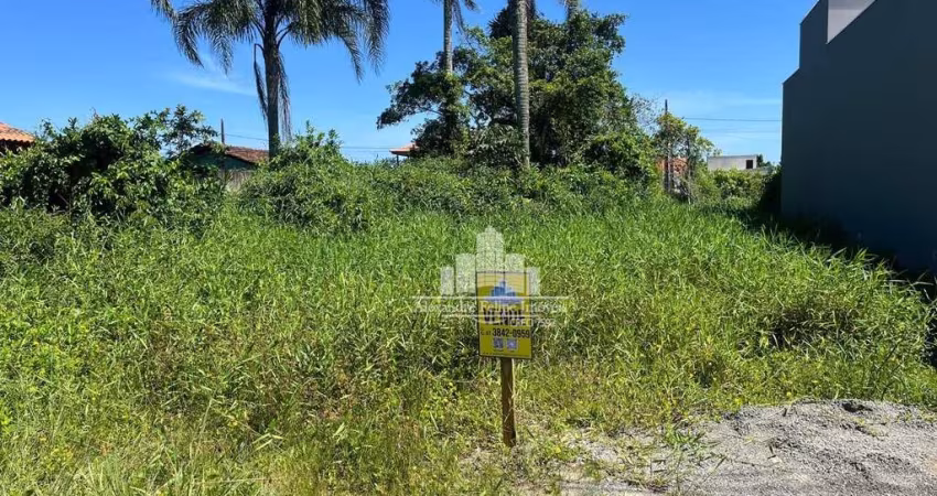 Terreno à venda na Avenida Claudiomiro Vizoto, 779, Praia do Ervino, São Francisco do Sul