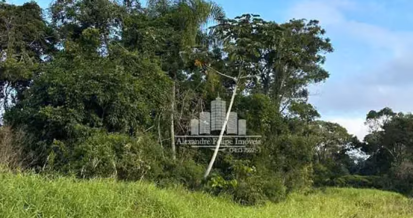 Terreno à venda na Loteamento Luzemar., Praia do Ervino, São Francisco do Sul
