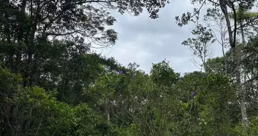 Terreno à venda na Rua 03 Lot. Maresol, Praia do Ervino, São Francisco do Sul