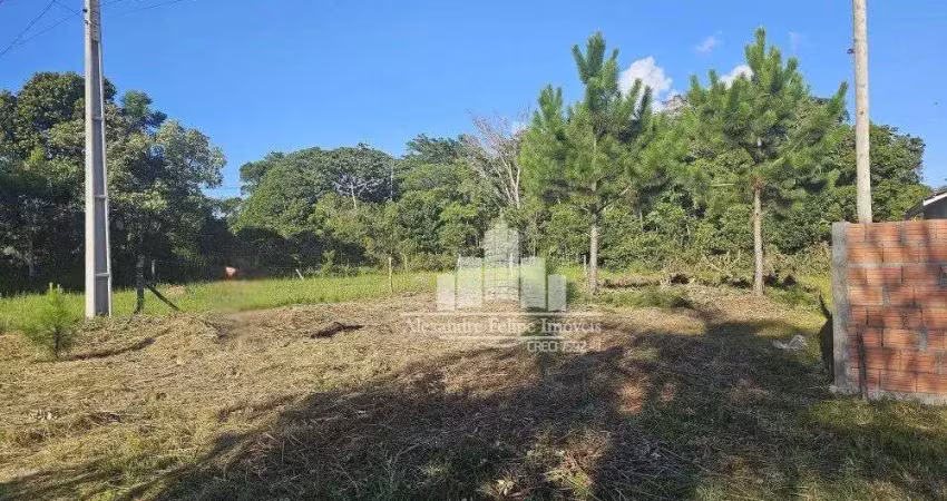Terreno à venda na Av. Claudiomiro Vizoto, 779, Praia do Ervino, São Francisco do Sul