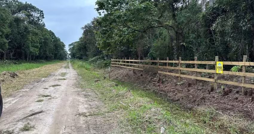 Terreno à venda na Rua do Linguado, s/n°, Praia do Ervino, São Francisco do Sul
