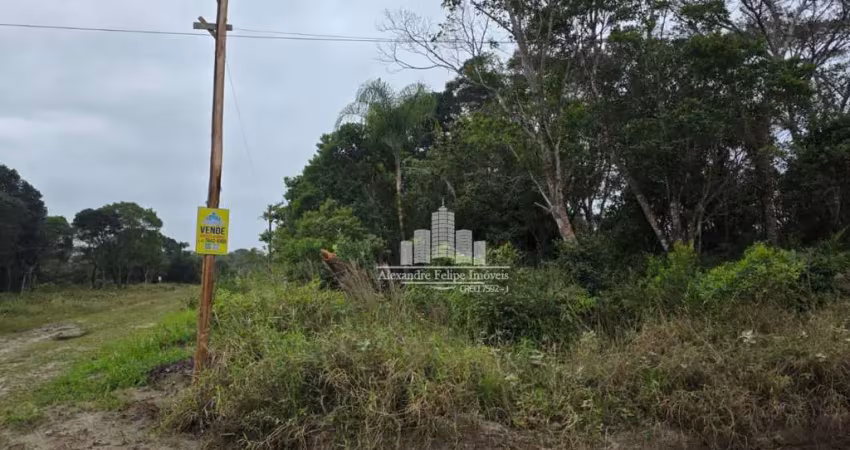 Terreno comercial à venda na Av. Claudiomiro Vizoto, 779, Praia do Ervino, São Francisco do Sul