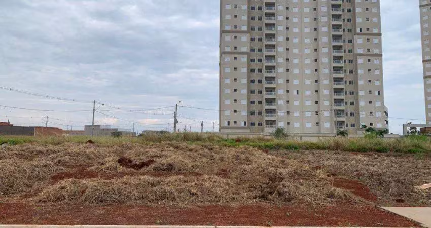 Terreno à venda em santa bárbara d'oeste, dodson, com 250 m²