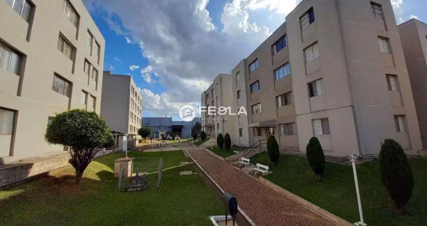 Apartamento para alugar em americana, nova americana, com 2 quartos, com 62.12 m²