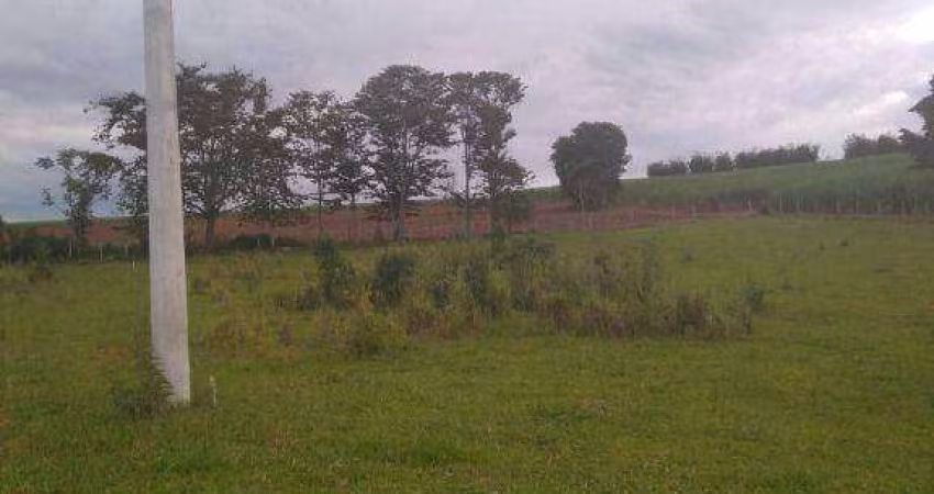 Chácara  à venda, 3000 m² por R$ 255.500 - Tijuco Preto - Caçapava/SP