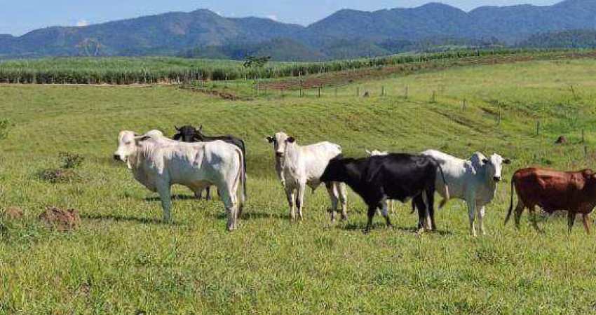 Sítio com 2 dormitórios à venda, 314600 m² por R$ 3.575.000,00 - Serrinha - Monteiro Lobato/SP