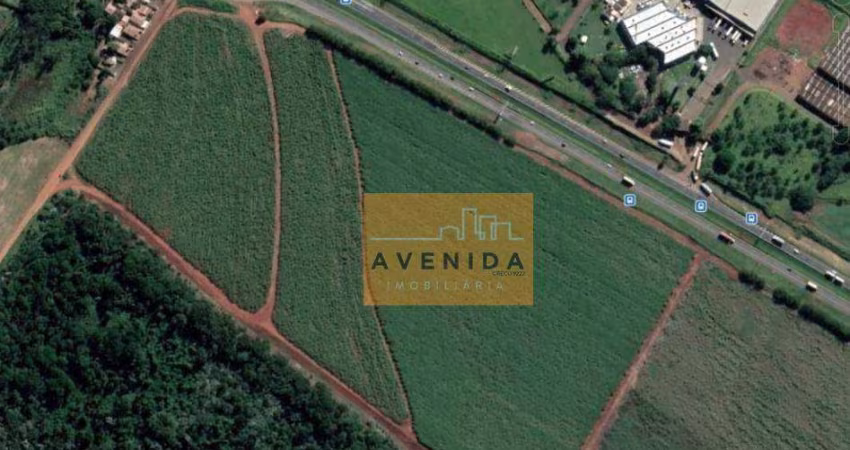Área à venda, 217000 m² por R$ 43.500.000,00 - Betel - Paulínia/SP