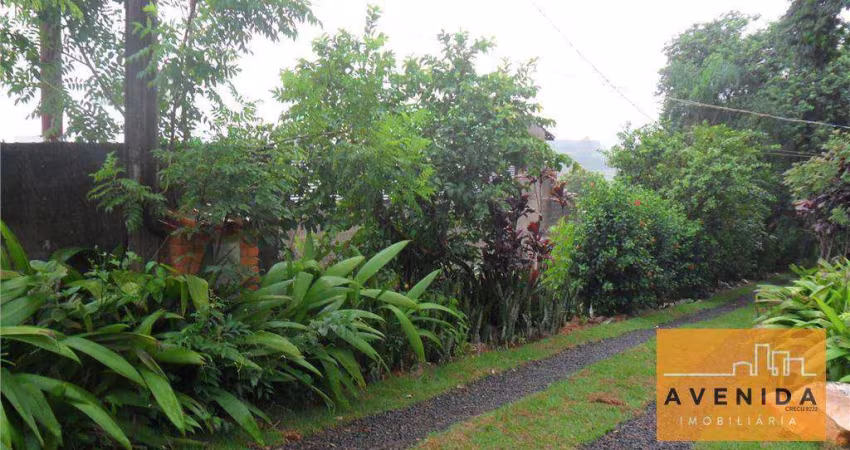Chácara com 3 dormitórios à venda, 7700 m² por R$ 1.500.000,00 - São Domingos - Paulínia/SP