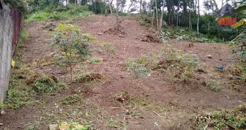 Terreno à venda, 1000 m² por R$ 120.000 - Jardim Maria Antonina - Mairiporã/SP